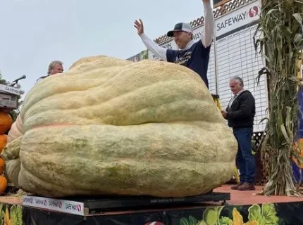 enormous