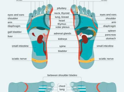 foot