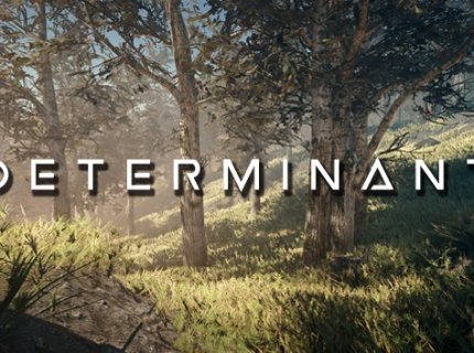 determinant