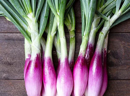 shallot