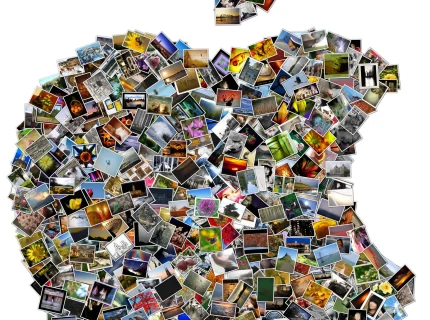 collage