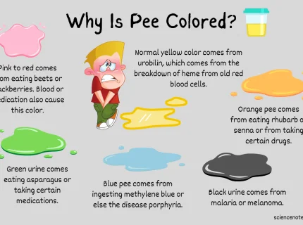 pee