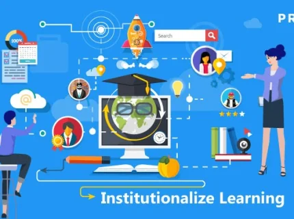 institutionalize