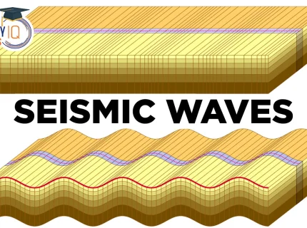 seismic