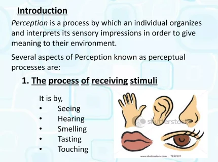 perceptual