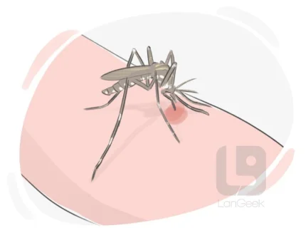 stinging