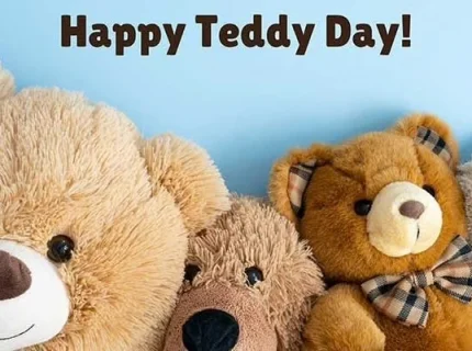 teddy