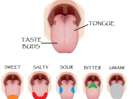 tasting