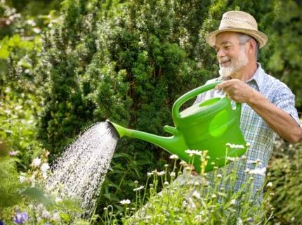 watering