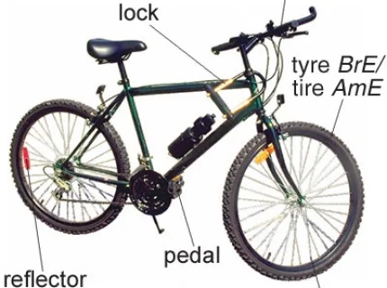 spoke