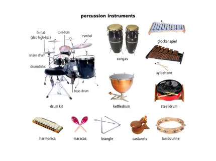 percussion
