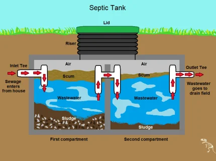 septic
