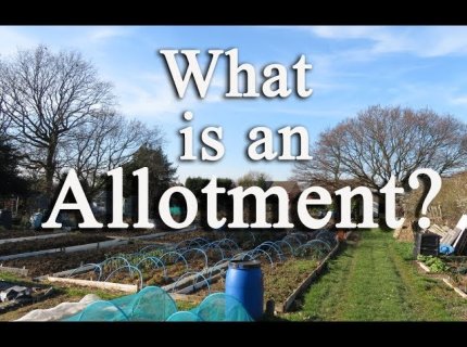 allotment