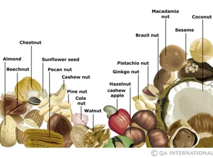 nuts