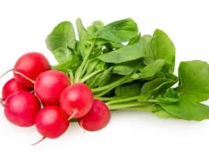 radish