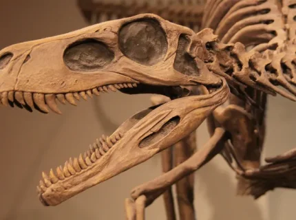 paleontologist