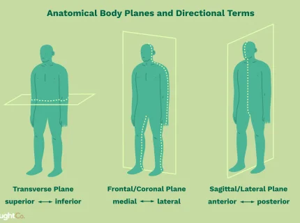 directional
