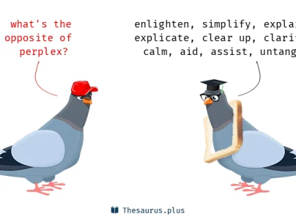 perplex