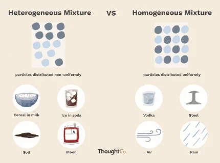 homogeneity