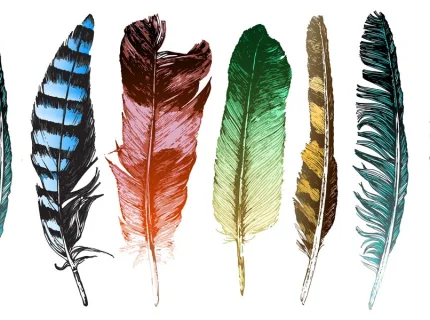feathered