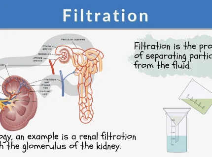 filtration