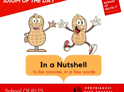 nutshell