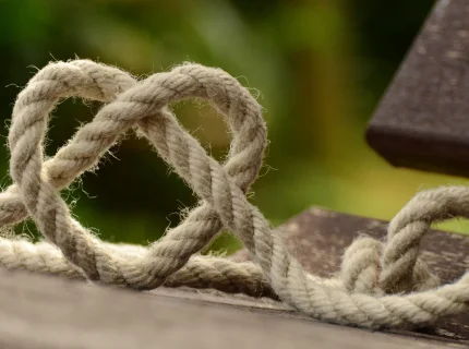 entwine
