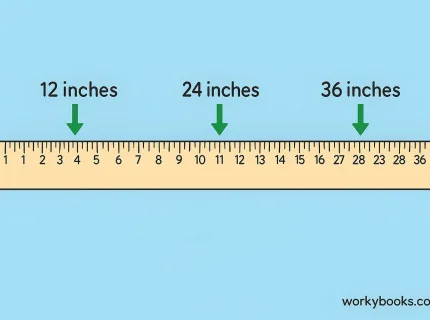 yardstick