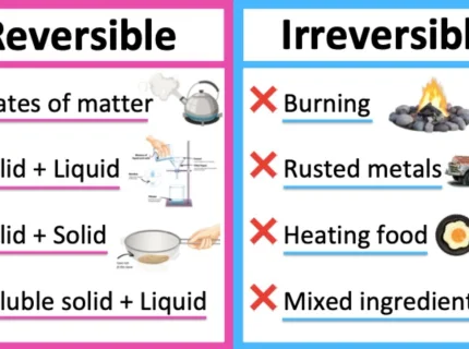reversible