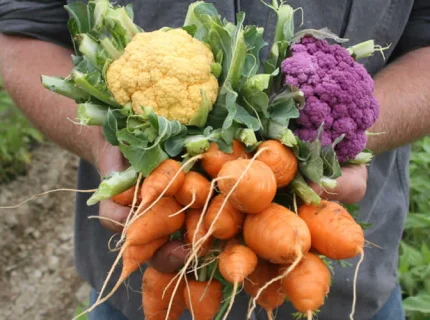 organically