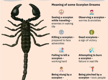 scorpion