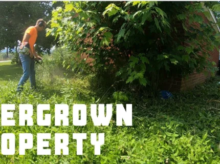 overgrow