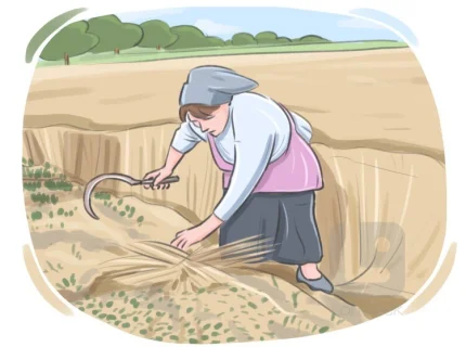harvesting