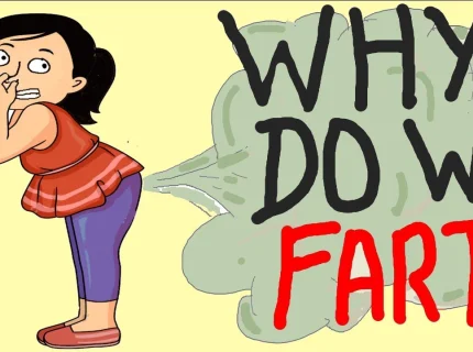fart