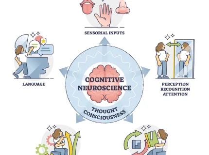 neuroscience