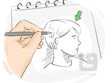 drawn