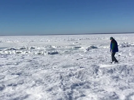 froze