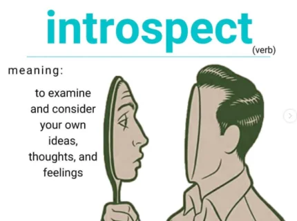 introspect