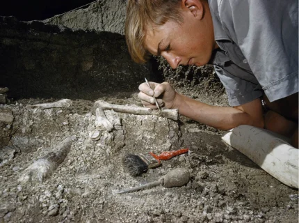 paleontology