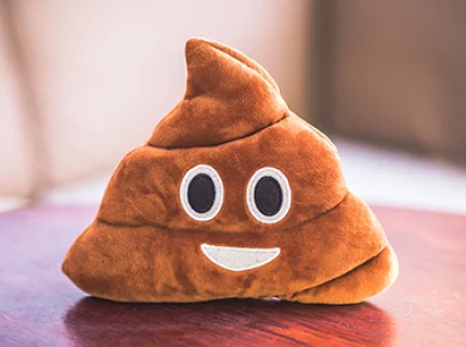 Poo