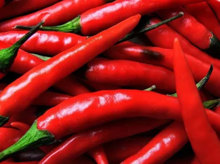 chilli