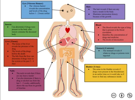 toxicology