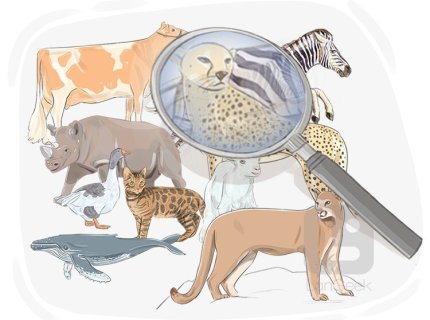 zoology