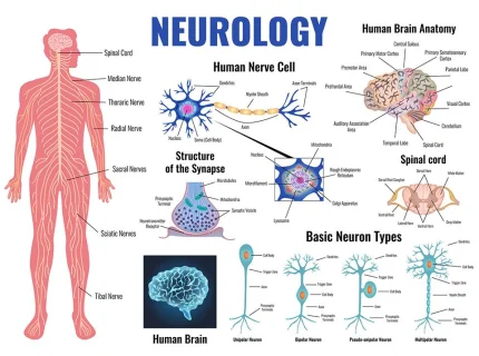 neurology