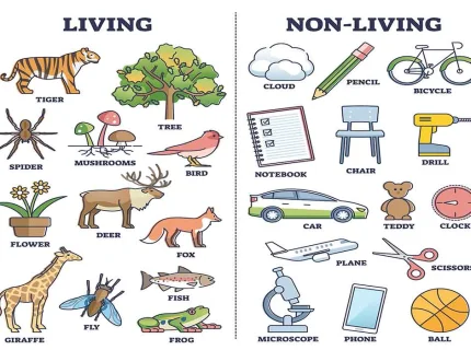 things