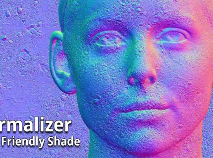 normalizer