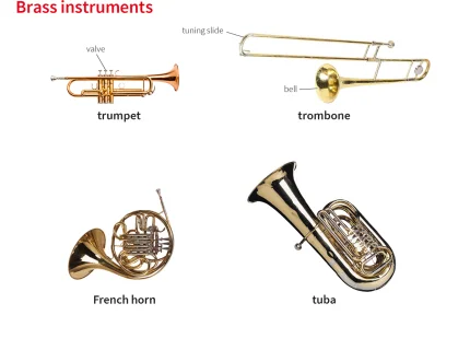 tuba