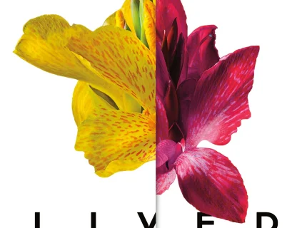 lived