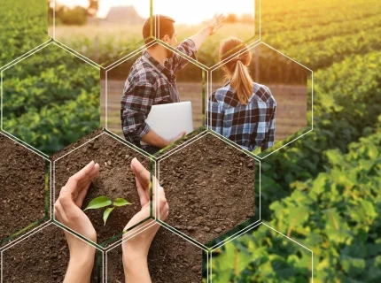 agronomic