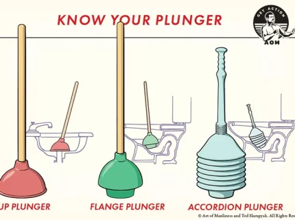 plunger